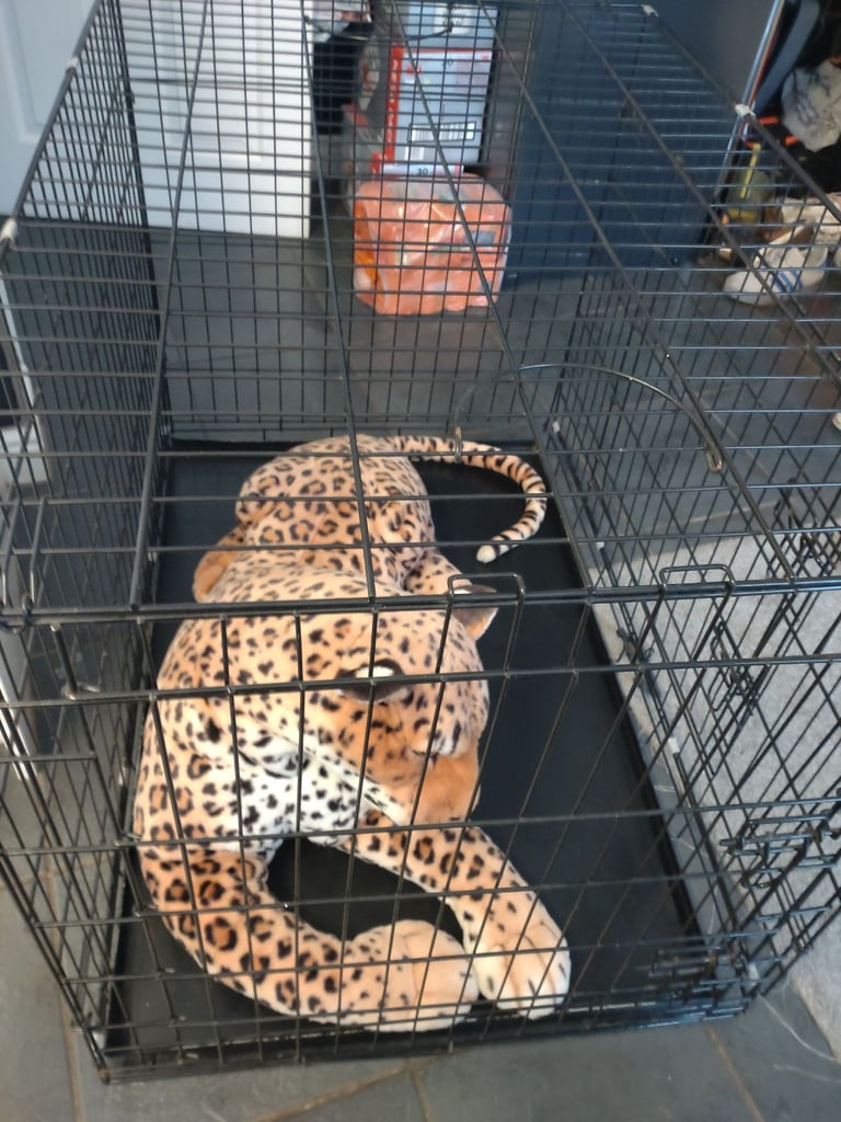 Very large dogs crate  ideal for large breed pick up only 