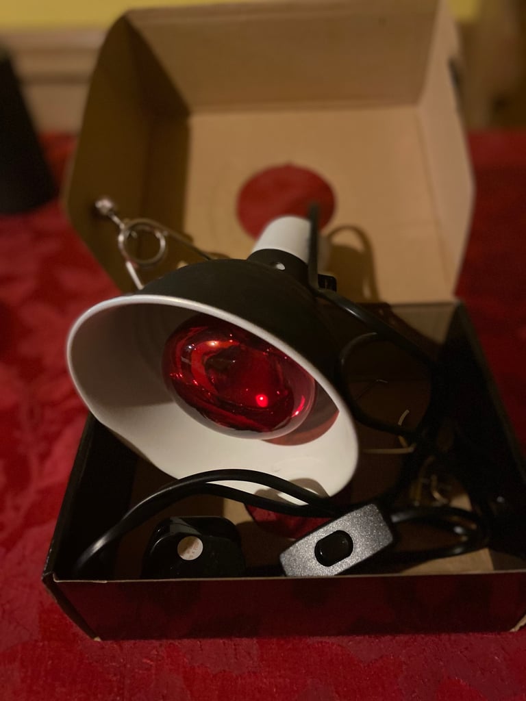 Eco Terra small glow lamp for reptiles 