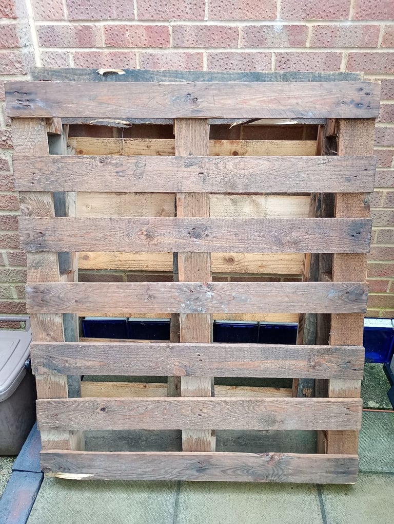 Two free pallets 