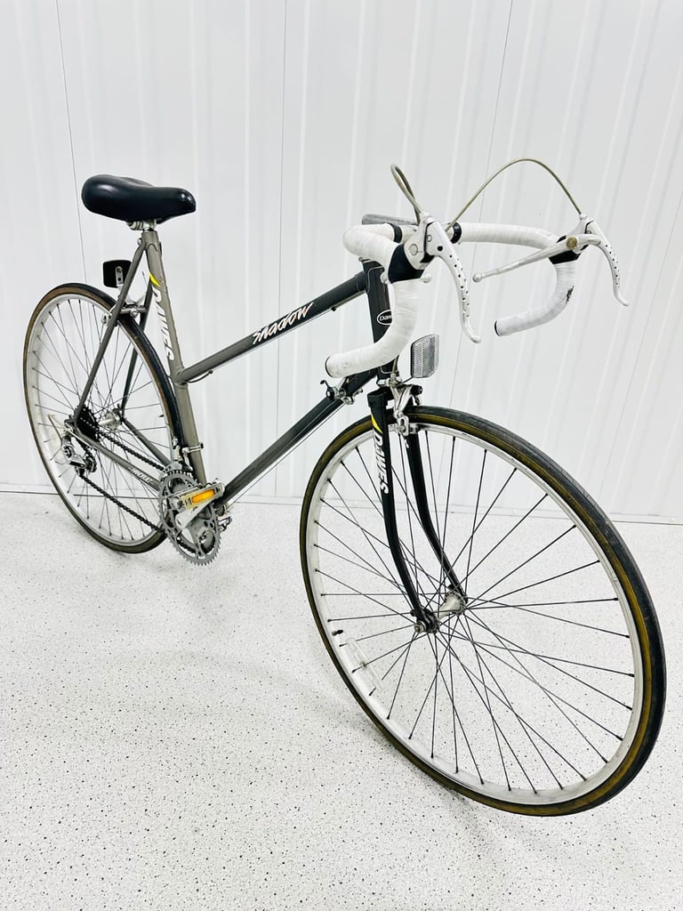 DAWES SHADOW Size/M Super LW Ladies Road Bike Fully Serviced Warranty 