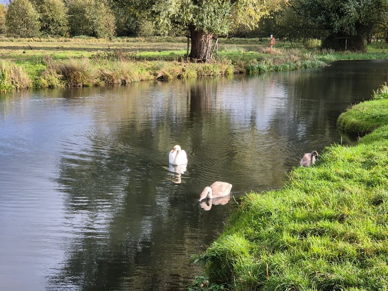 2 Bedroom semi detached Bungalow on the Norfolk Broads