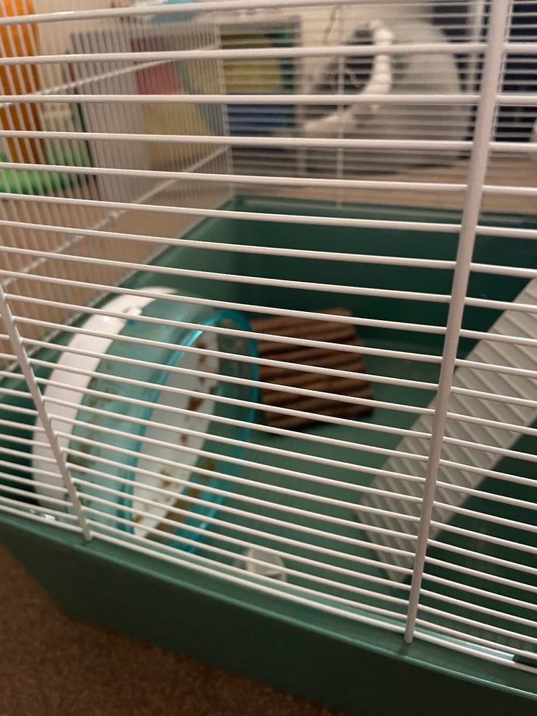 Large hamsters gerbils etc cage 