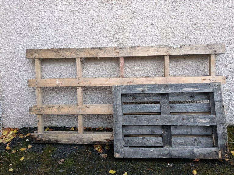 Big and standard size pallet 