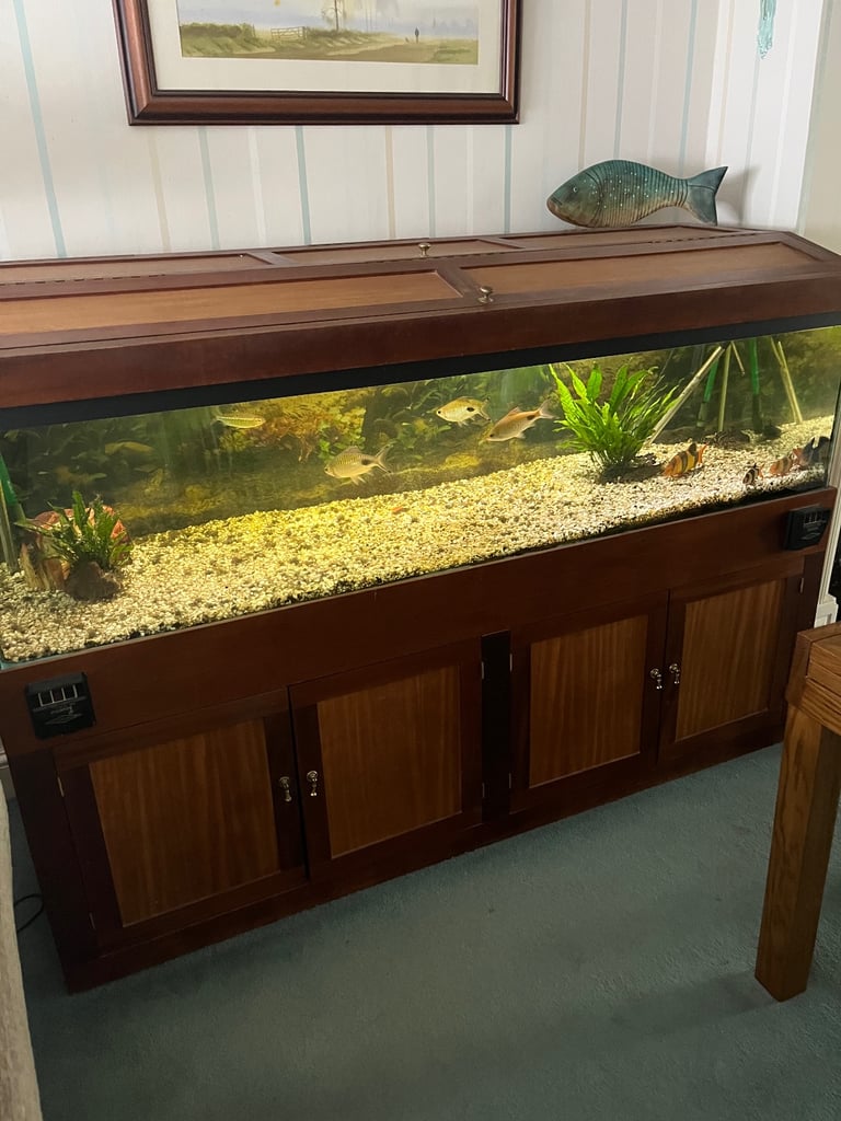 100 gallon fish tank free to collect 