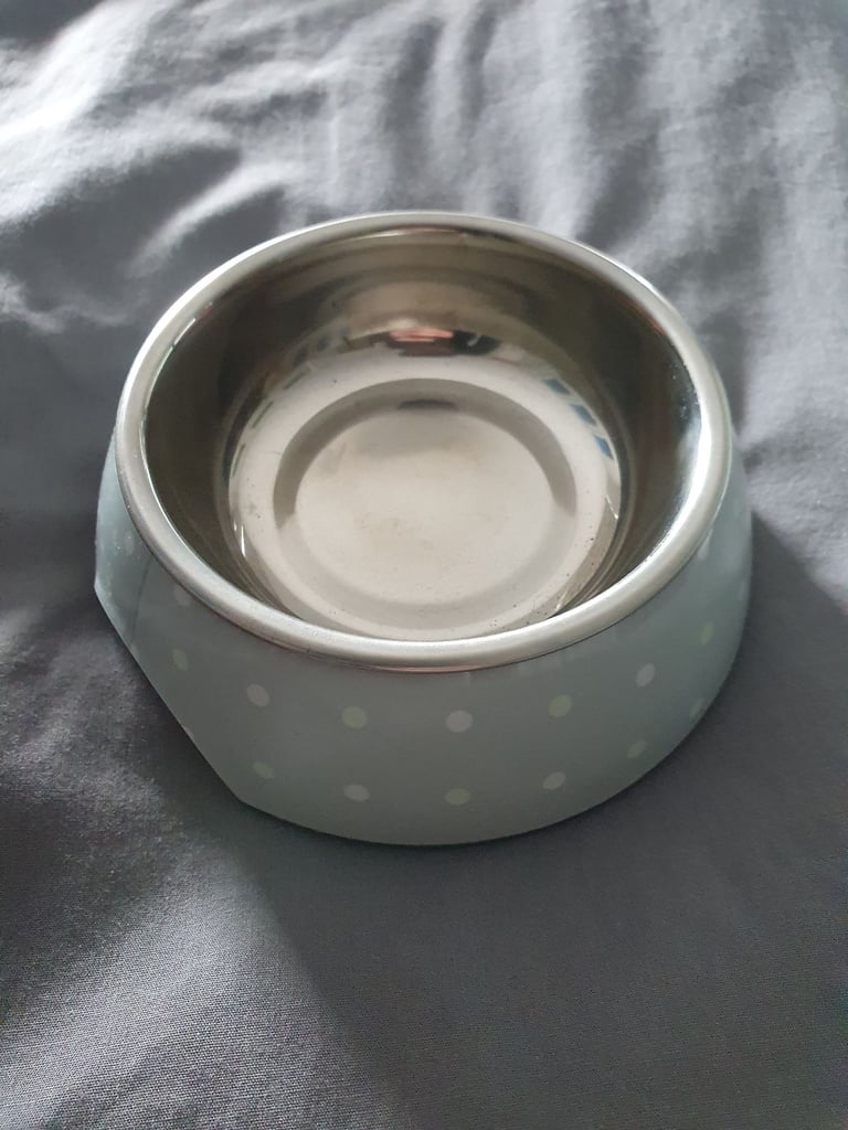 Assorted Dog Training Accessories