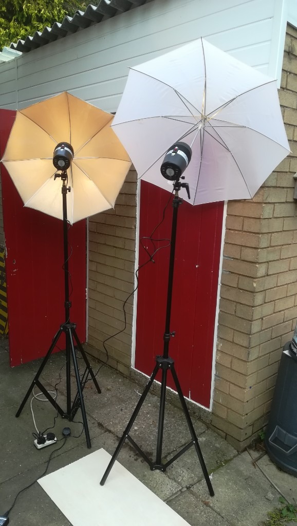Full photographic studio lighting outfit, lights, tripods, soft boxes, light meter, backgrounds. 