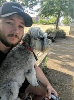Dog walking in Camden/Primrose Hill/Hampstead and surrounding areas