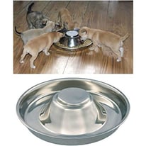 Puppy feeding bowls X 2