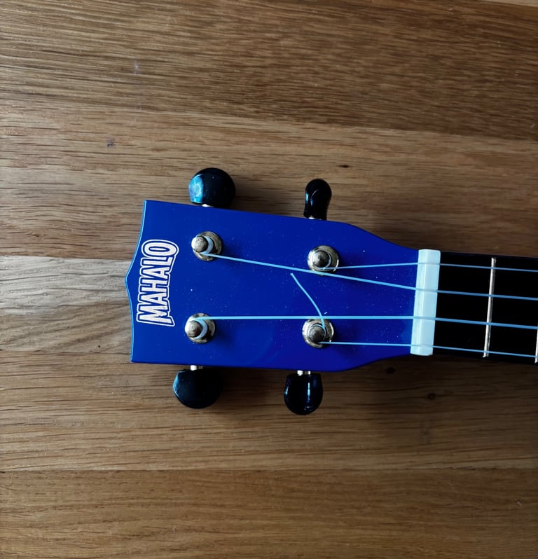Royal blue full size ukulele 