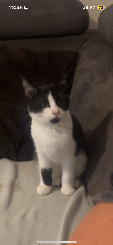 Urgent*** 1x black/white female, 1x black male