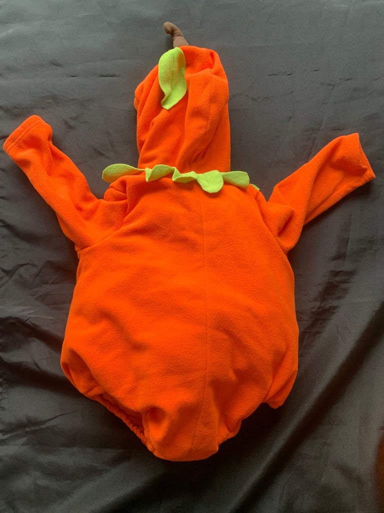 Halloween Baby & Small Dog Pumpkin Costumes 