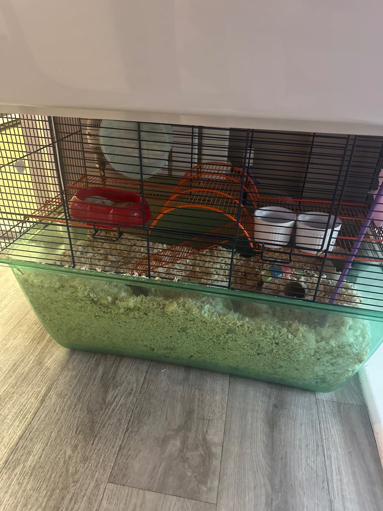 Full gerbil set up 