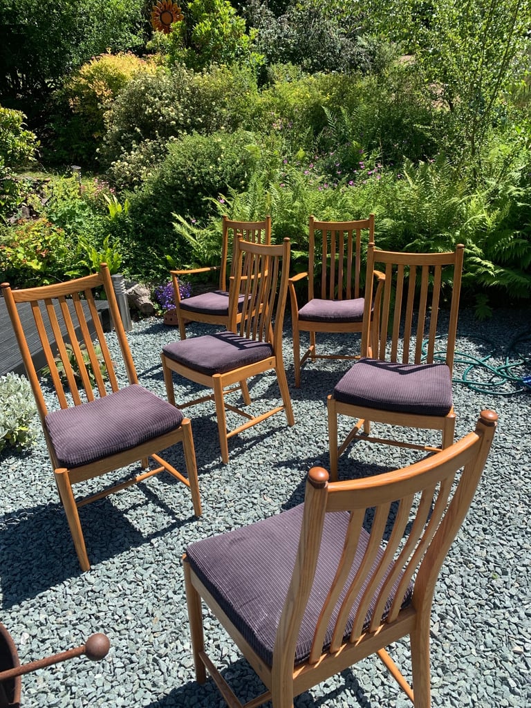 Ercol dinning chairs