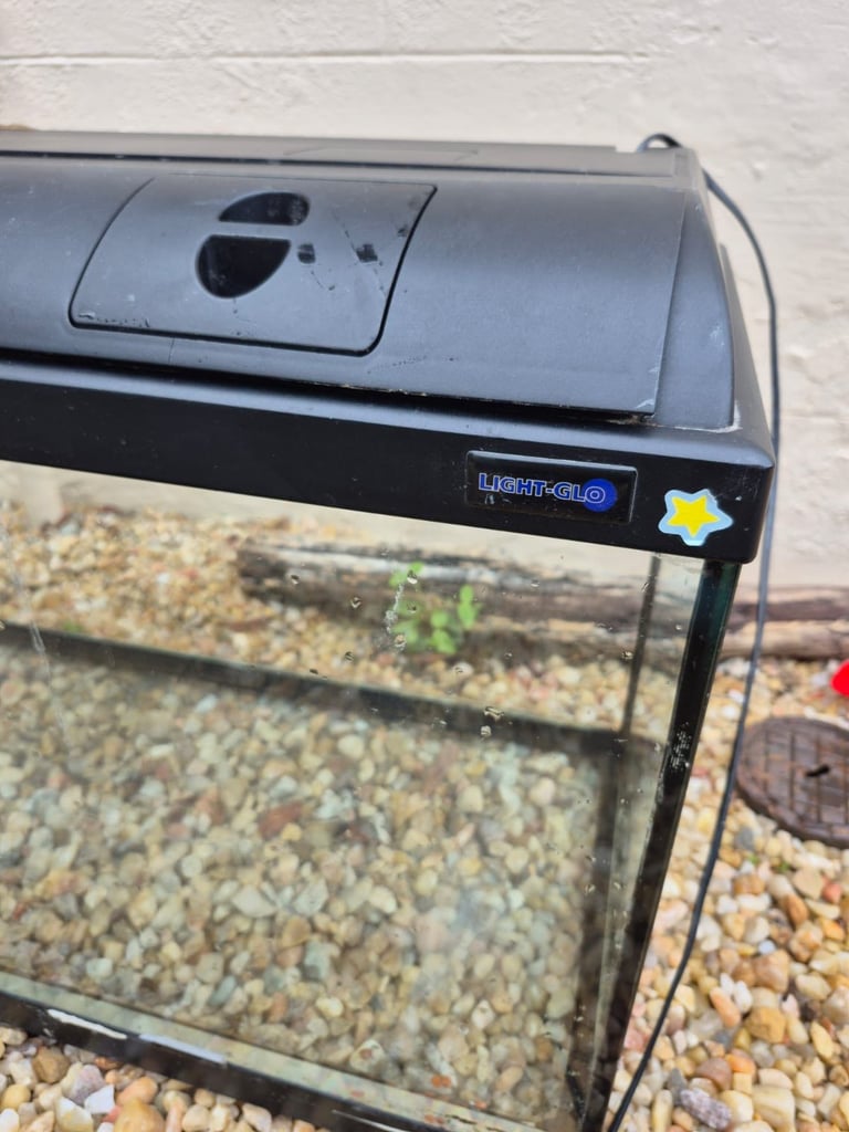 image for Large aquarium