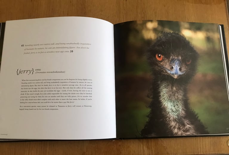 Tasmania Bonorong SancturyBook.Stunning Photos of indigenous Critters 