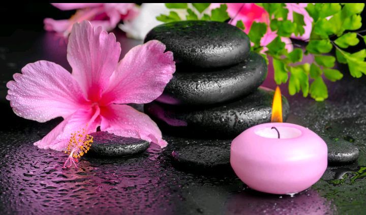 image for Lucy new in aberdeen