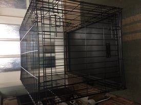 Dog crates for sale