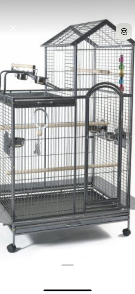 Parrot cage 