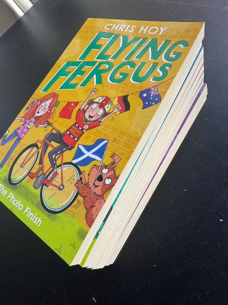 Flying Fergus 10 Book set (Collection)