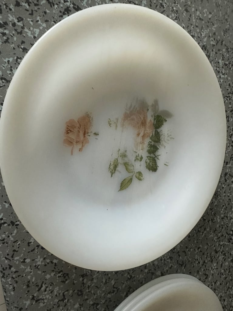 Pyrex oven proof plate 