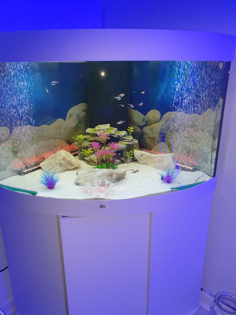 Fish tank
