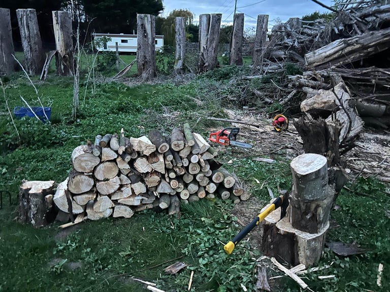 Seasoned Softwood Logs - ready to burn