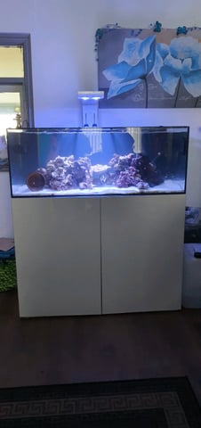 Marine aquarium clearance for sale