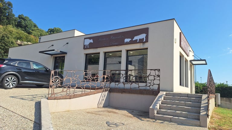 SOUTH OF FRANCE:  Pâradise 6h30 from London by train. 45 mn train to Lyon airport