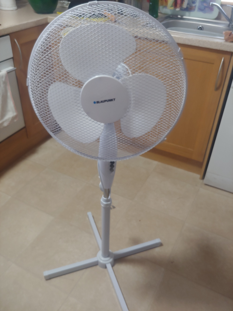 Oscillating pedestal Fan in Aberdeen Gumtree