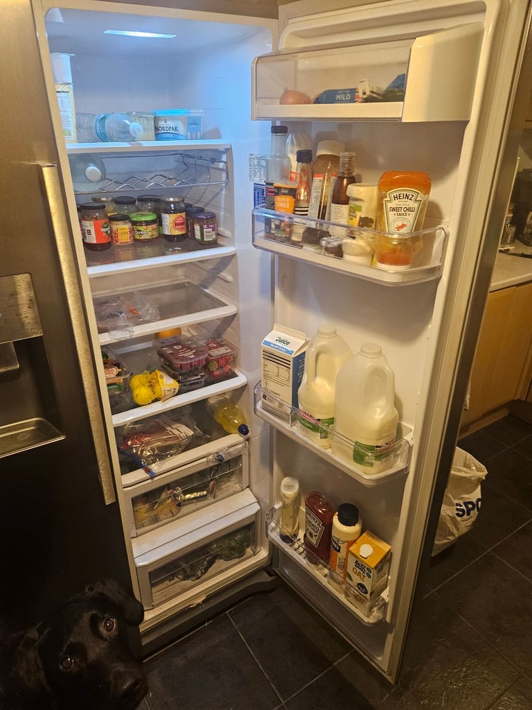 Samsung American 2 door fridge freezer