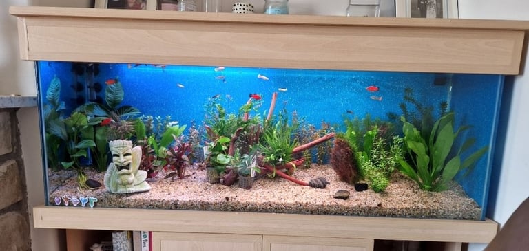 Full aquarium and stand