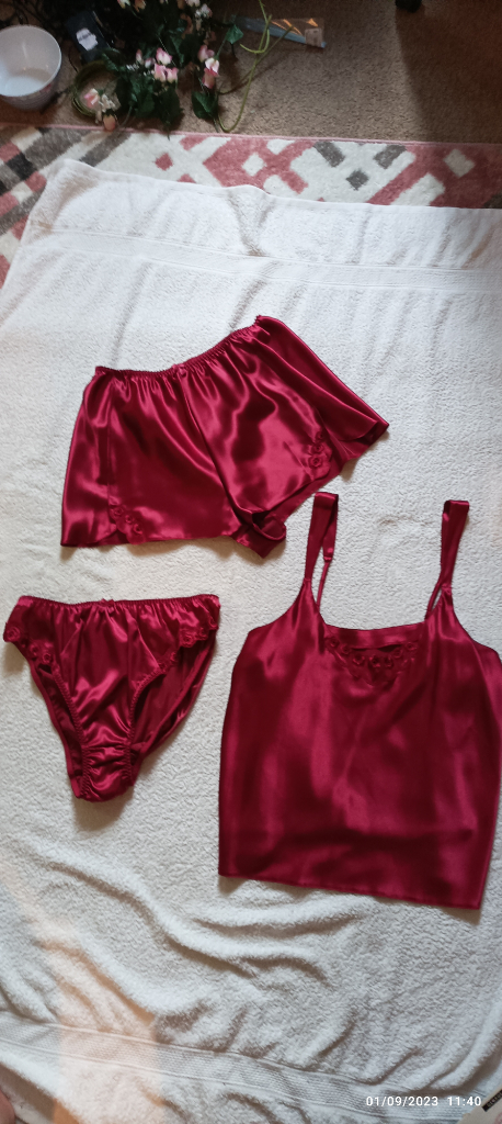 BRAND NEW ITEMS Red Satin camisole Top/ Briefs and Pants size 12/14 and ...
