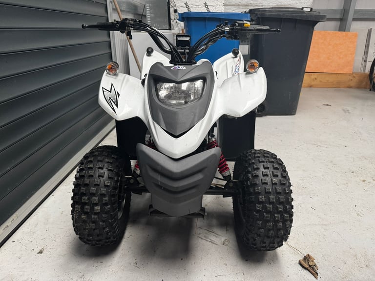 Aldy Electric Quad/ATV 2000w