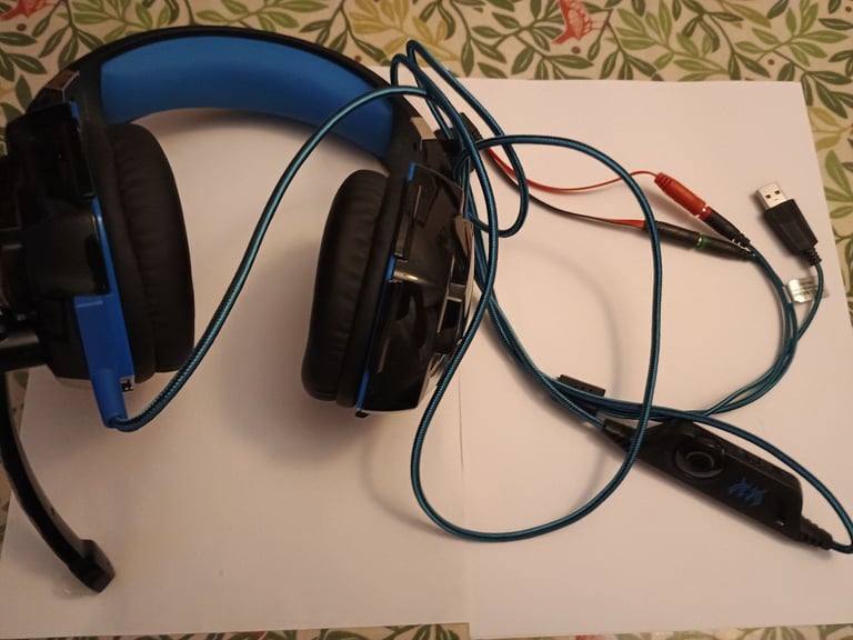 Large Headphones with Microphone 
