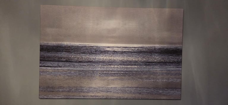 Sliver Seascale wrapped canvas print