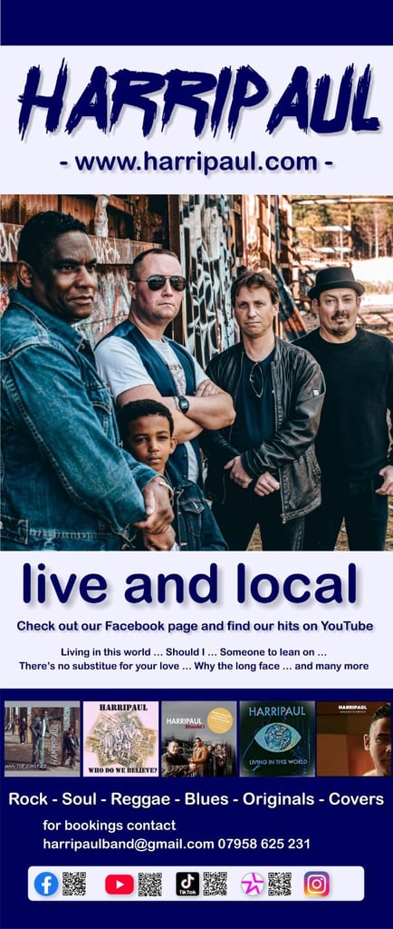 BASS PLAYER WANTED 4 TOURING BAND ROCK POP REGGAE SOUL BLUES COVERS & ORIGINALS