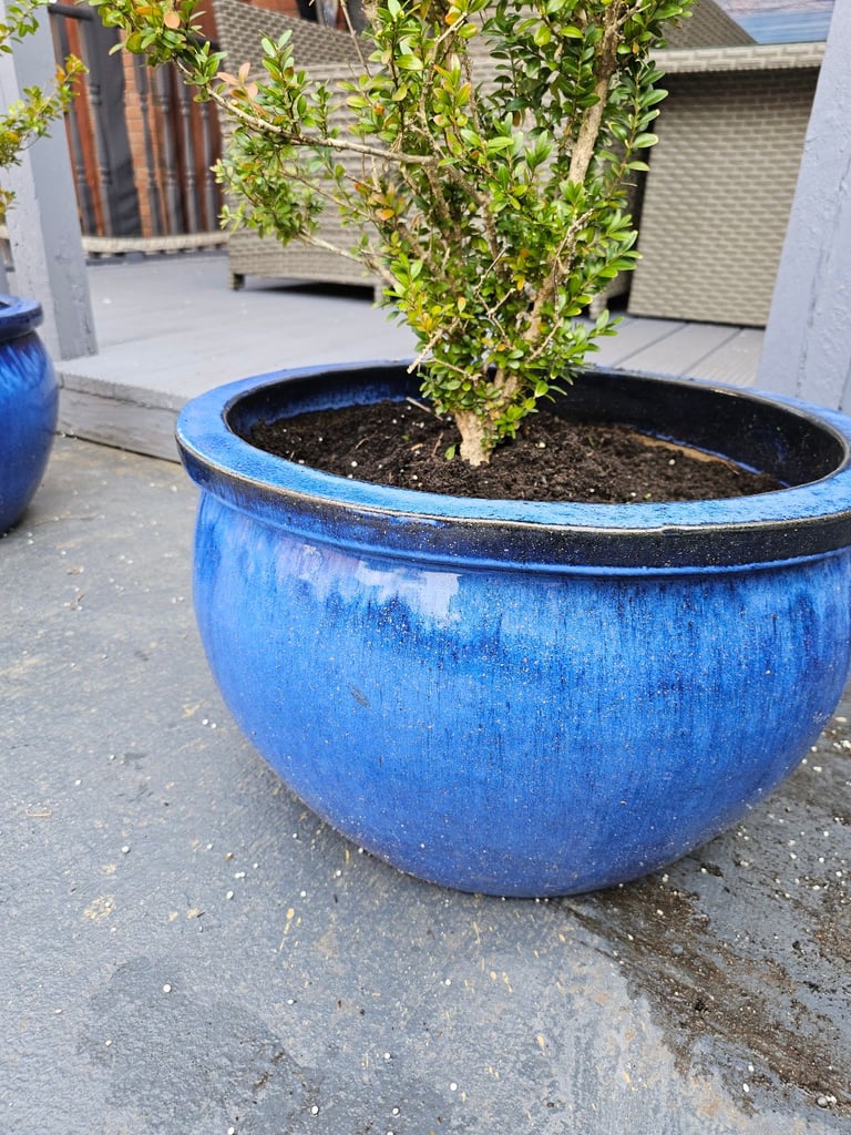 Extra Large Vibrant Blue Glazed Ceramic Pots