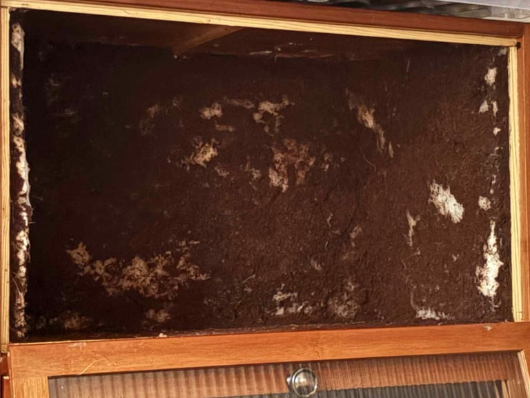 3/4 in 1 reptile vivarium project