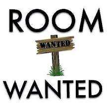 A private single bedroom or studio wanted ASAP 