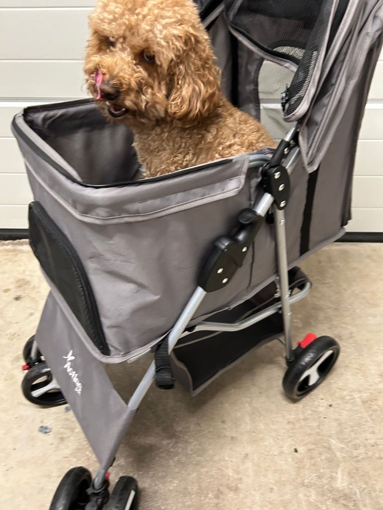 Pet Stroller,  Pet Buggy