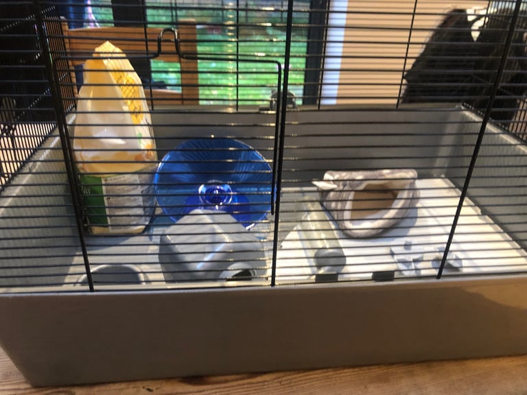 image for Hamster Cage and accessories 