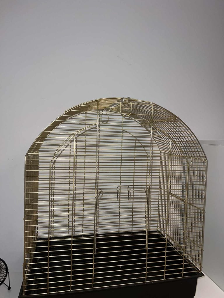 Gold bird cage 