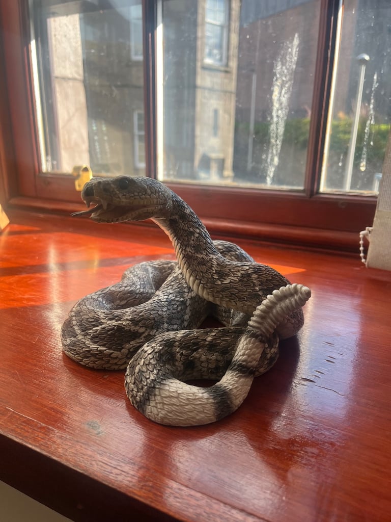 The leonardo collection rattlesnake 