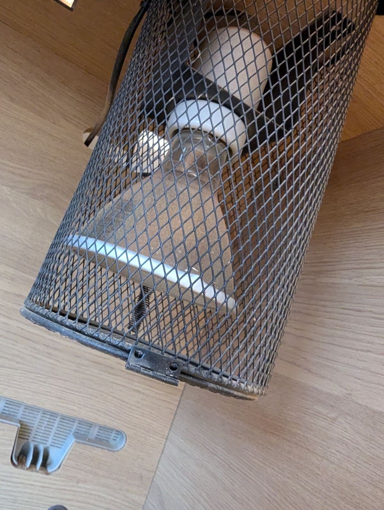 Huge custom reptile vivarium large enclosure 