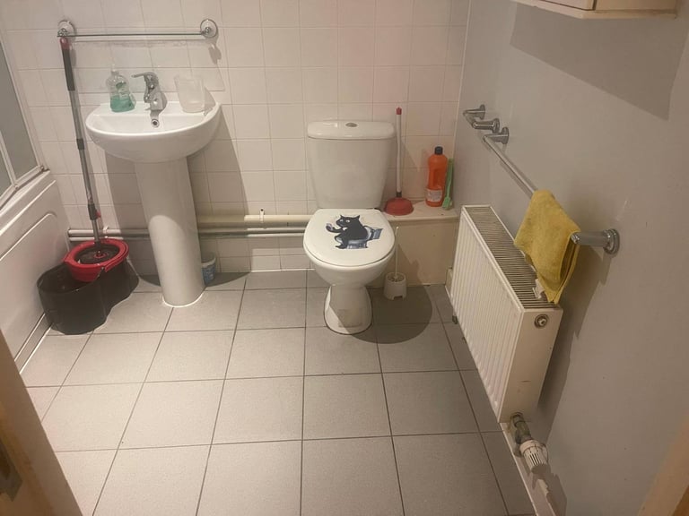1 room in a 2 bed flat 