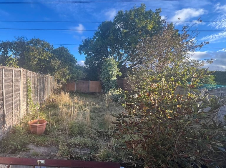 image for Tree surgeon and hedge and grass 