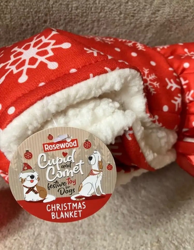 Cupid & Comet pet Christmas Blanket/Webbox bungee toys and other cat toys and teasers