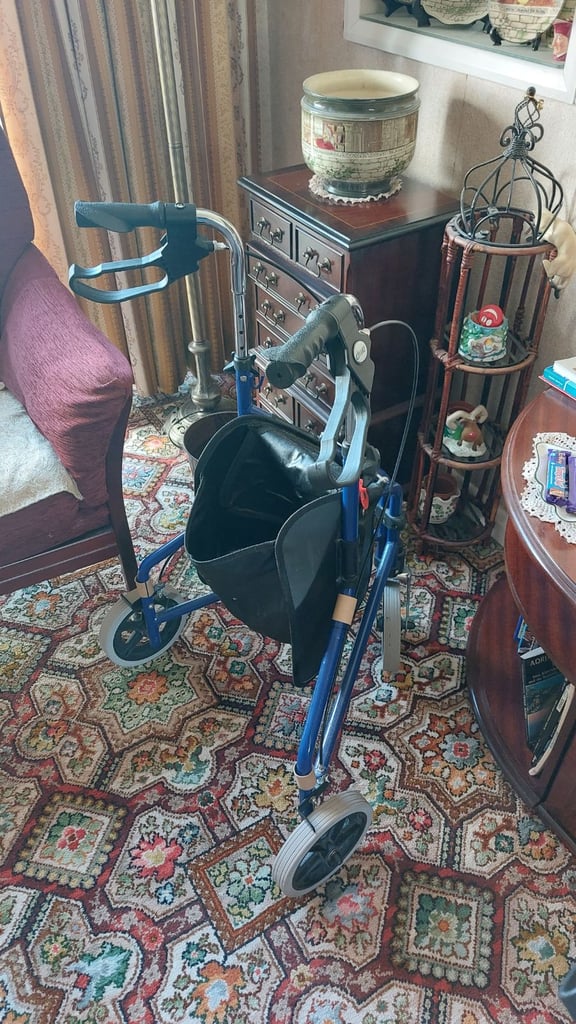 image for Walker trolley 