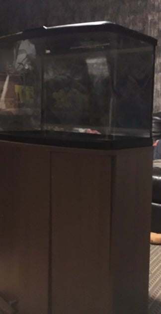 image for Fish tank and stand