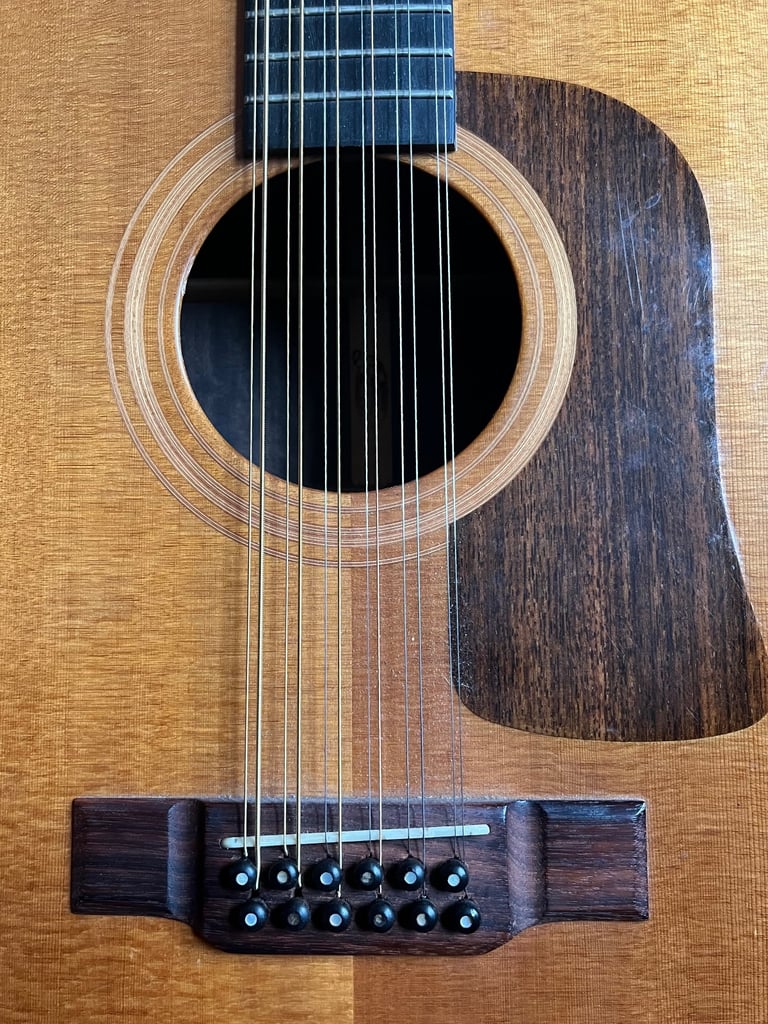Washburn 12 string guitar D68 SWN